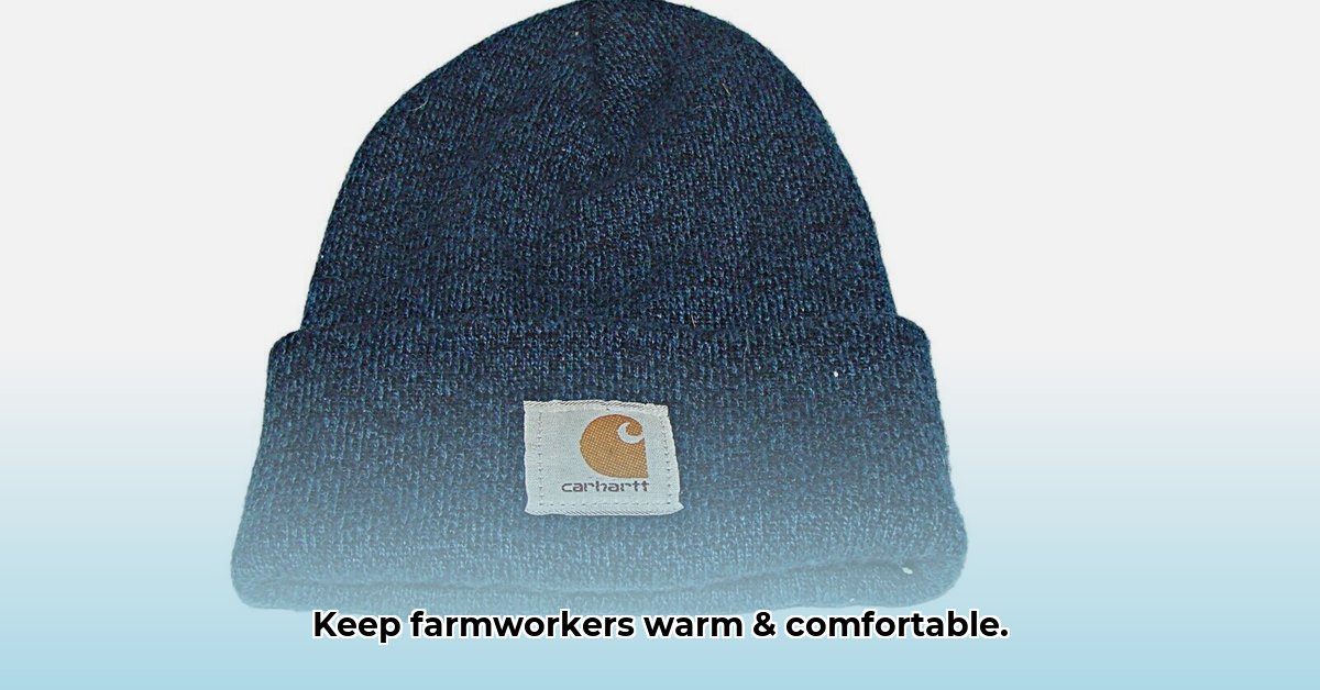 carhartt-beanie-tractor-supply